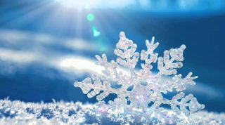 23 տարի առաջ այս օրը գրանցվել են պատմության ընթացքում դիտված ամենասաստիկ սառնամանիքները․ Սուրենյան