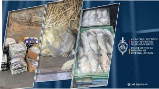 Գեղարքունիքի պարեկները ձկնգողության հերթական դեպքերն են բացահայտել