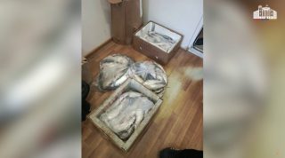 Ջրային պարեկներն ապօրինի ձկնորսության դեպքեր են բացահայտել