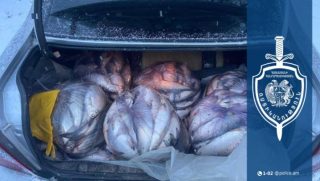 Ջրային պարեկները 29-ամյա վարորդի մեքենայում 197 կգ-ից ավել ձուկ են հայտնաբերել