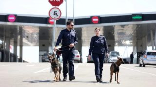 Վրաստանը կուժեղացնի վերահսկողությունը՝ մաքսային գոտիներում թմրանյութերի մաքսանենգության աճի պատճառով