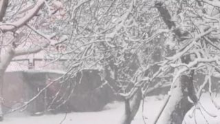 Գյումրիում բուք է. Գագիկ Սուրենյանը տեսանյութ է հրապարակել