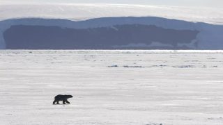 Ռուսաստանը հաղթում է Արկտիկայի համար մրցավազքում. CNN