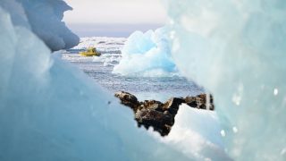 Ռուսաստանում պատասխանել են Գրենլանդիան գրավելու վերաբերյալ մեղադրանքներին