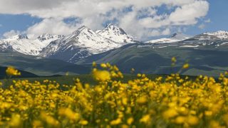 Հայաստանը կմասնակցի FITUR 2026 միջազգային զբոսաշրջային ցուցահանդեսին