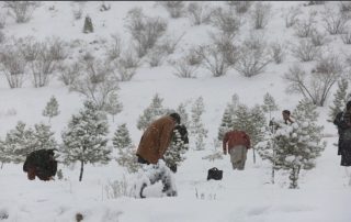 ԱՄՆ-ում ձնաբքի պատճառով ավելի քան 230,000 տուն մնացել է առանց էլեկտրաէներգիայի