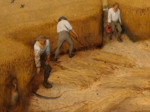 Սառնորակ ջուրը