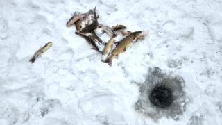 Թուրքիայի ամենաերկար գետը սառցակալել է