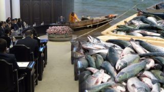 Կառավարությունն առաջարկում է Սևանա լճում սիգի որսի 550 տոննա չափաքանակ