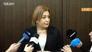 Մի բանում եմ սխալվել. մտածում էի՝ մի 4 ամիս համակարգը նորմալ կաշխատի, բայց… Անուշ Պողոսյան