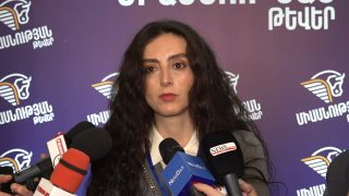 Մեր տնտեսական ծրագիրը չունի պոպուլիստական տարրեր. Լիլիթ Մինասյան