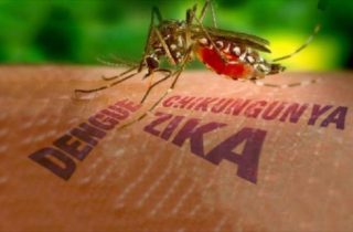 ՀՀ-ում արձանագրվել է «Չիկունգունիա տենդ» հիվանդության դեպք