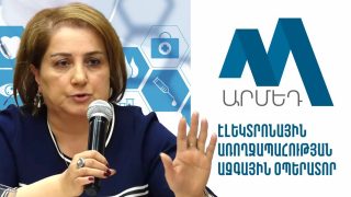 Արմեդը որևէ պատասխանատվություն չի կրում. Ծաղիկ Վարդանյան