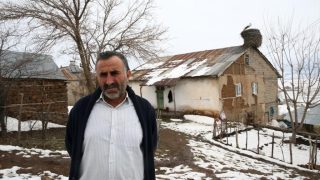 Մուշում 44 տարի արագիլները բույն են հյուսել նույն տան տանիքին