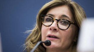 Շատ դժվար է ունենալ ազատ ընտրություններ, երբ Սամվել Կարապետյանը ազատազրկվել է խոսքի համար. Ուիթսոն