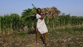 Զարգացող երկրներում կարող է առաջանալ սննդի պակաս՝ Մերձավոր Արևելքում սկսված հակամարտության պատճառով