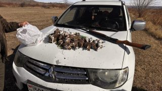 ԲԸՏՄ-ն առգրավել է որսորդական հրացաններ և ապօրինի որսված 159 արտույտ