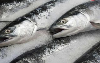 Վրացական ձկան արտահանումն աճել է