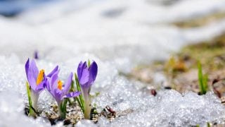 Օդի ջերմաստիճանն էապես չի փոխվի