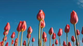 Օդի ջերմաստիճանը կբարձրանա 7-10 աստիճանով