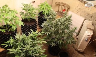 Մարտի 26-ին խուզարկություններ են կատարվել մայրաքաղաքի 20 հասցեում