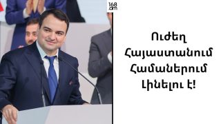 Ուժեղ Հայաստանում համաներում լինելու է. Նարեկ Կարապետյան