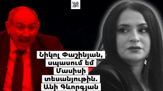Նիկո՛լ Փաշինյան, հրապարակեցի հարբած աջակիցներիդ դեմքերը, սպասում եմ Մասիսի տեսանյութին. Անի Գևորգյան