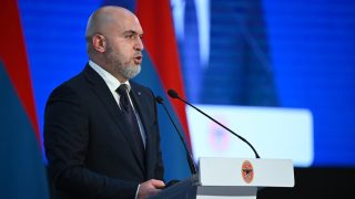 «Մեզ և մեր նման հարյուր հազարավոր հայերին «շուն» անվանողները իրենց էությամբ բորենիներ են՝ դիակակեր, գարշահոտ և վախկոտ անասուններ…». Արմեն Աշոտյան