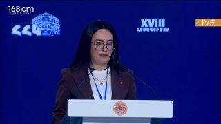 Սյունիքի հեռավոր գյուղերում մարդիկ ապրում են վախով. պատվով ապրել ենք ուզում. մեղրեցի Կատյա Ղուկասյան