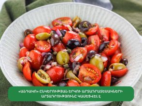 «Անդակո» ընկերության երկու արտադրատեսակի արտադրությունը կասեցվել է
