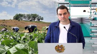 Գյուղացուն աղքատությունից հանելու մի ձև կա. Նարեկ Կարապետյան