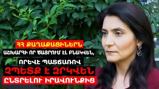 «Պատրաստվում եմ նամակով դիմել ՀՀ-ում Կանադայի դեսպանին. ուզում եմ հարցնել՝ որքանո՞վ է աջակցում Փաշինյանի կառավարությանը՝ այս հետընթացի գործընթացում». Կանադահայ