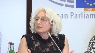 Ընտրությունների ազատ ու արդար գնահատականը պետք է տա ժողովուրդը․ Ֆարա Քարիմի