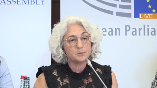 Քարոզարշավի ընթացքում պետապարատի նկատմամբ ճնշումները մտահոգությունների առիթ են տալիս․ ԵԱՀԿ ԽՎ դիտորդ