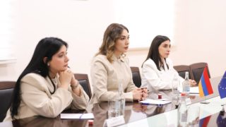Գալյանը ԵՄ դեսպանի հետ քննարկել է ՀՀ-ԵՄ վիզաների ազատականացման գործողությունների ծրագիրը