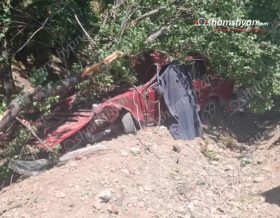Երևան-Երասխ-Մեղրի ճանապարհին «ՎԱԶ 2101»-ը դուրս է եկել երթևեկելի գոտուց, բախվել ծառերին. կա զnh և տուժած
