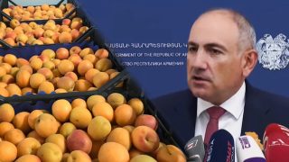 Էդ ծիրանը տոննաներով նախկինում էլ է փչացել, ձեր տանը ծիրան չի՞ փչանում. Նիկոլ Փաշինյան