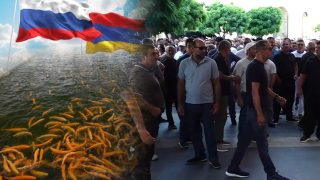 #ՀԻՄԱ. ԿԱՌԱՎԱՐՈՒԹՅԱՆ ԱՆԴԱՄՆԵՐԸ ՍՏՈՒՄ ԵՆ. ՁԿՆԱՐՏԱԴՐՈՂՆԵՐԻ ԲՈՂՈՔԻ ԱԿՑԻԱՆ. #ՈՒՂԻՂ
