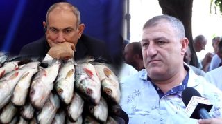 Եվրոպա ենք չէ՞ գնում, պալատկաներ կբերենք, ֆուռերով ձուկ կբերենք կլցնենք ստեղ, ինչ պետք ա, կանենք. ձկնաբույծ