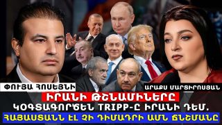 Իրանի մտահոգությունները հաստատվում են, Իրանն ասում էր, որ ԹՐԻՓՓ-ը կարող է օգտագործվել Իրանի թշնամիների կողմից Իրանի դեմ. Փույա Հոսեյնի