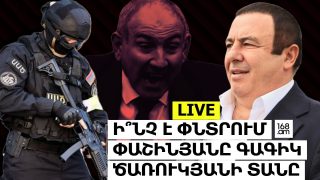 #ՈՒՂԻՂ. Ի՞ՆՉ Է ՓՆՏՐՈՒՄ ՓԱՇԻՆՅԱՆԸ ՎԱՂ ԱՌԱՎՈՏԻՑ ԳԱԳԻԿ ԾԱՌՈՒԿՅԱՆԻ ՏԱՆԸ. #ՀԻՄԱ