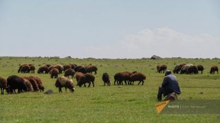 Հայաստանում 2 անձ թրաֆիքինգի են ենթարկել անչափահասին և նրա հորը