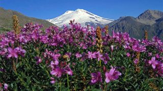 Օդի ջերմաստիճանն էապես չի փոխվի