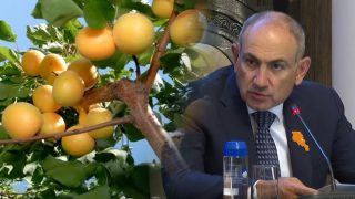 Կներե՛ք, դույլով ԵՄ ծիրան չենք կարող տանել, աշխատել է պետք. Նիկոլ Փաշինյան