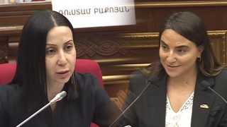 Ձեր հարցը չհասկացա. կարո՞ղ է խառնել եք հանձնաժողովները. Լենա Մաթևոսյանը՝ Մարիա Կարապետյանին