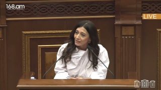 Ես հուսով եմ, որ ԱԺ-ում 1 դրամ աշխատավարձով աշխատող պատգամավոր չի լինի. Արփի Դավոյան