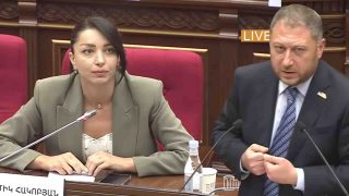ԹՐԻՓՓ-ի հետ կապված ունեմ մտահոգություններ, որոնք չեն փարատվում. Հայկ Ֆարմանյան