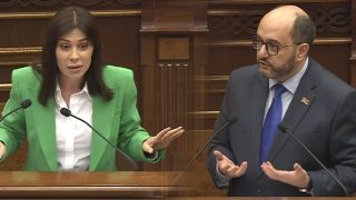 Անդրադառնամ Ագնեսա Խամոյանին ու նրա հիասթափության օբյեկտին, այսինքն՝ ինձ. Արայիկ Հարությունյան