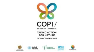 COP17-ի հետհաշվարկը սկսված է․ Երևանում տեղադրվել է խորհրդանշական թիթեռը